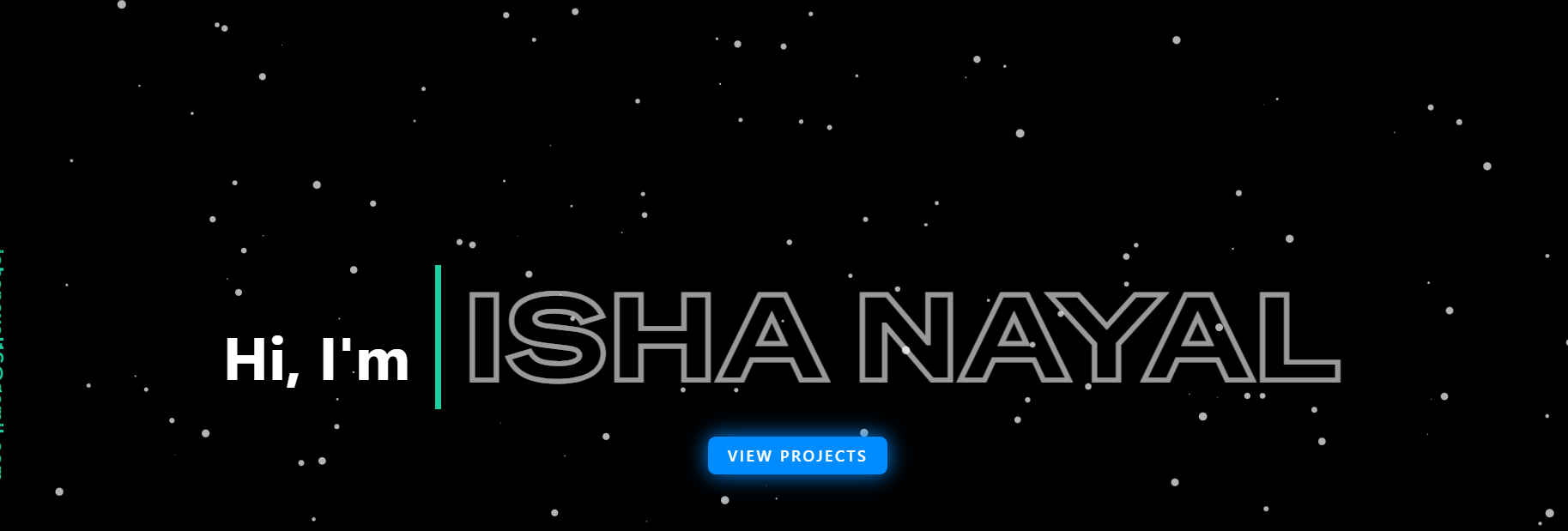 Portfolio Website Screenshot